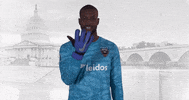 bill hamid GIF by D.C. United