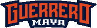 Lucha Libre Wwe Sticker by Guerrero Maya