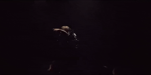 Happy Ferris Wheel GIF by Sylvan Esso