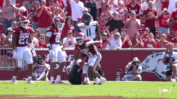 College Football GIF by Arkansas Razorbacks