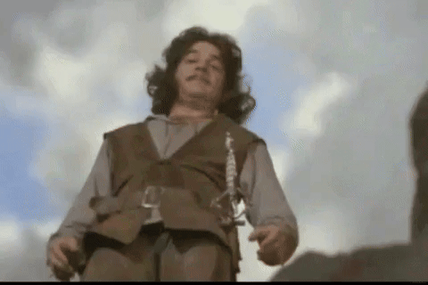 miked58888 princess bride GIF