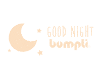 BumpliDE good night schlafen gute nacht gutenacht Sticker