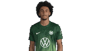 France Yes Sticker by VfL Wolfsburg