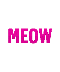 Meow Meow Sticker by Big Brother