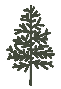 Christmas Vibes Sticker by littleevergreenco