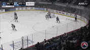 GIF by Milwaukee Admirals
