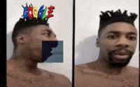 Dog What GIF