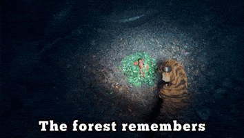 Music Label GIF by Divo Music