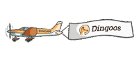 Flying Gold Coast Sticker by Dingoos Australia