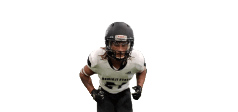 Bsubeaversfb Sticker by Bemidji State Beavers