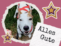 wufflecker wufflecker wuffleckerbirthday wuffleckerglückwunsch GIF