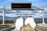GIF by Alex Boya