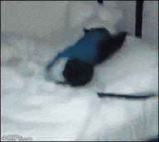 wake GIF
