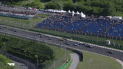 GIF by W Series