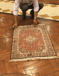 silk rug GIF