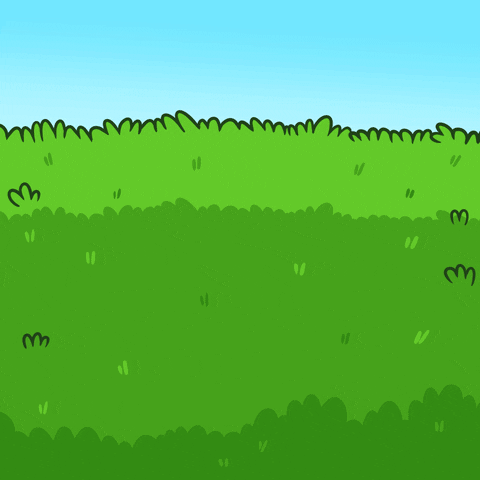 Happy In Love GIF by Sappy Seals