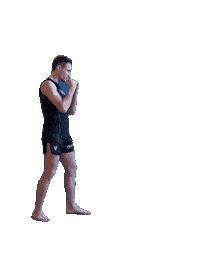 lesakfightteam mma muaythai k1 lesak Sticker