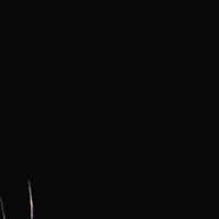 Flower Bloom GIF by Yin Wrong