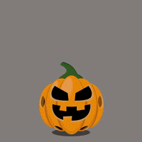 Halloween Pumpkin GIF by Mitteldeutscher Rundfunk