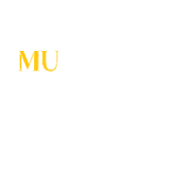 Muhtemel Aşk Sticker by Show TV