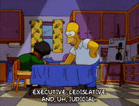 homer simpson episode 23 GIF