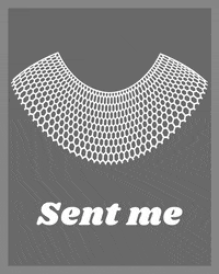 Voting Election 2020 GIF by Joe Biden