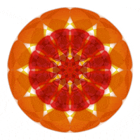 mandala art GIF by Moon Mandalas Mobile App
