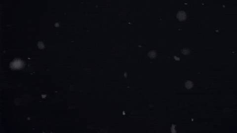Jumping Team Usa GIF by U.S. Ski & Snowboard Team
