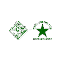 Sport Heerlen Sticker by Groene ster