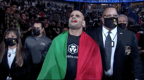 Sport Mma GIF by UFC