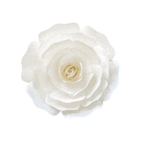 Party 花 Sticker by takanaga