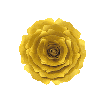 Party 花 Sticker by takanaga