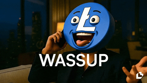 Whats Up Lol GIF by LitVM