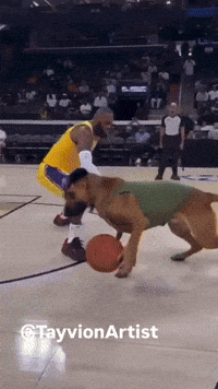 Lebron James Basketball GIF
