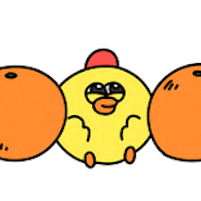 Baby Chicken Sticker