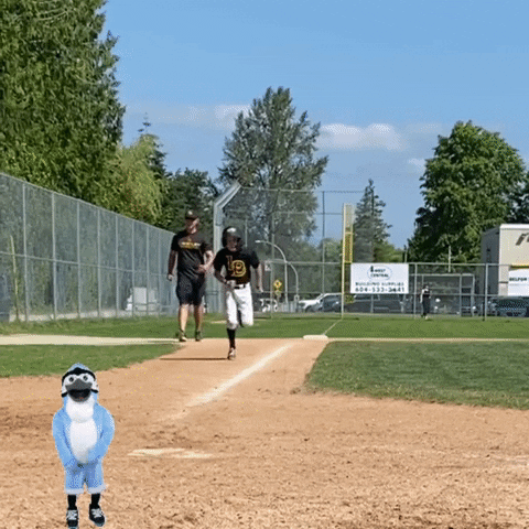 Baseball Duncan GIF by TheMacnabs