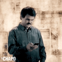 #chapo #netflix #narco #politics GIF