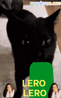 Humor Saludos GIF by Murcianys LLC