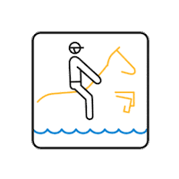 Summer Olympics Horse Sticker by SportsManias