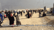 GIF by PRI