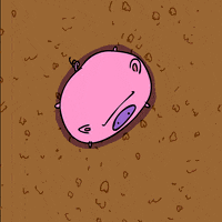 animated gif lol GIF by Animation Domination High-Def