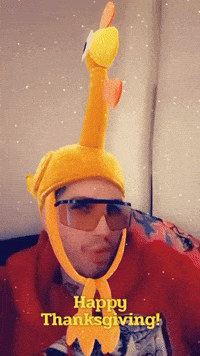 Thanksgiving Turkey GIF by petey plastic