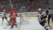 Chicago Blackhawks Yes GIF by NHL