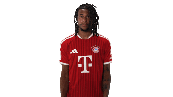 Fc Bayern Football Sticker by Bundesliga