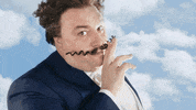 GoCompareDotCom  GIF
