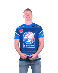 Happy Nhl Sticker by ZSC Esports