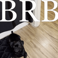 Leaving Be Right Back GIF