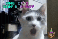 Uncdanbday GIF by UNCBearsAlumni