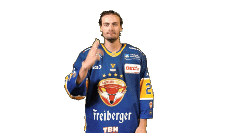 Hjorth Celebrate Sticker by Lausitzer Füchse