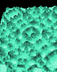 Fashion Ar GIF by Aleksey Efremov